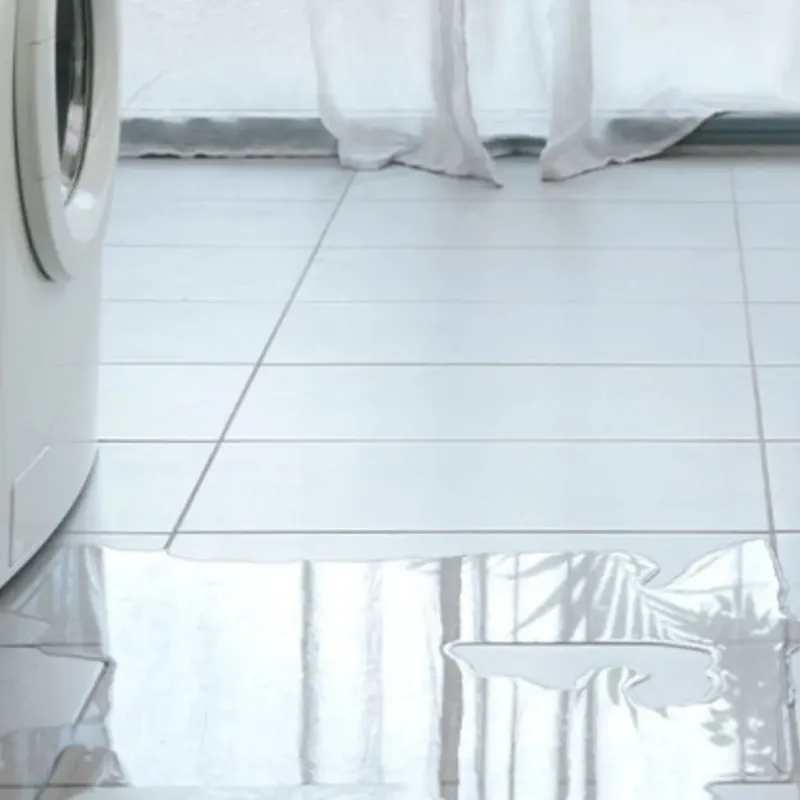 Appliance Leak Cleanup in Pike County, KY