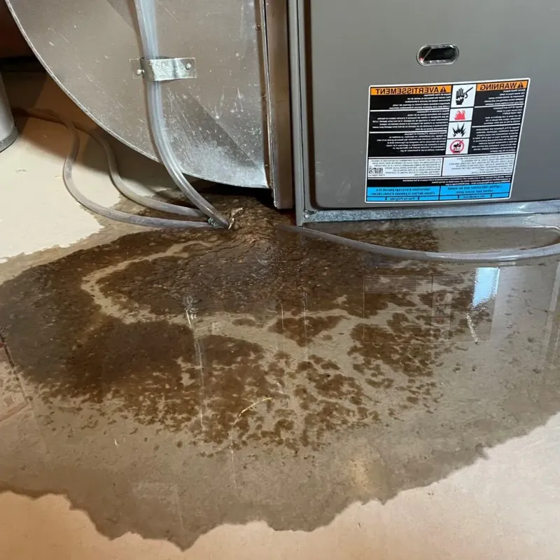 Pipe Burst and Leak Restoration in Pike County, KY