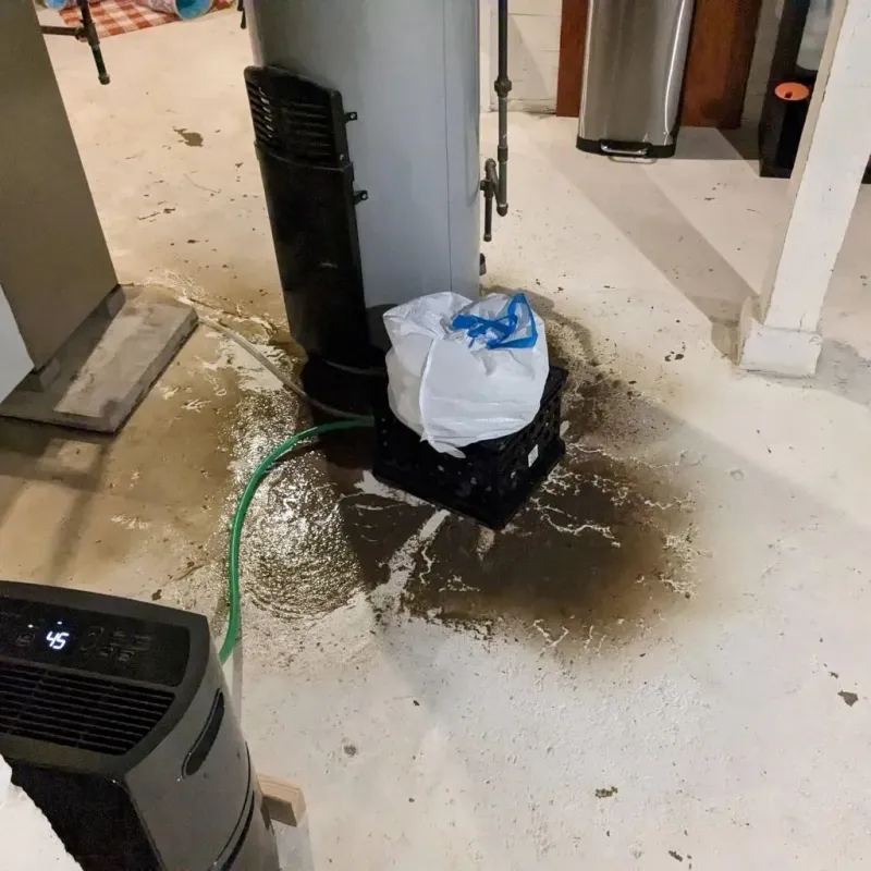 Sewage Backup Cleanup Service in Pike County, KY
